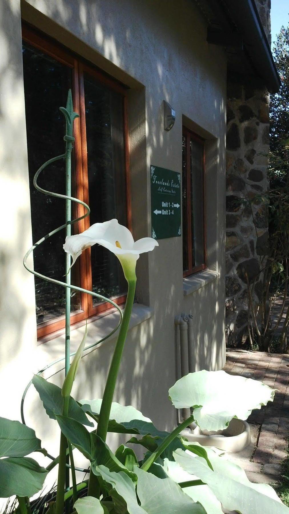 Treelands Estate Dullstroom Exterior foto